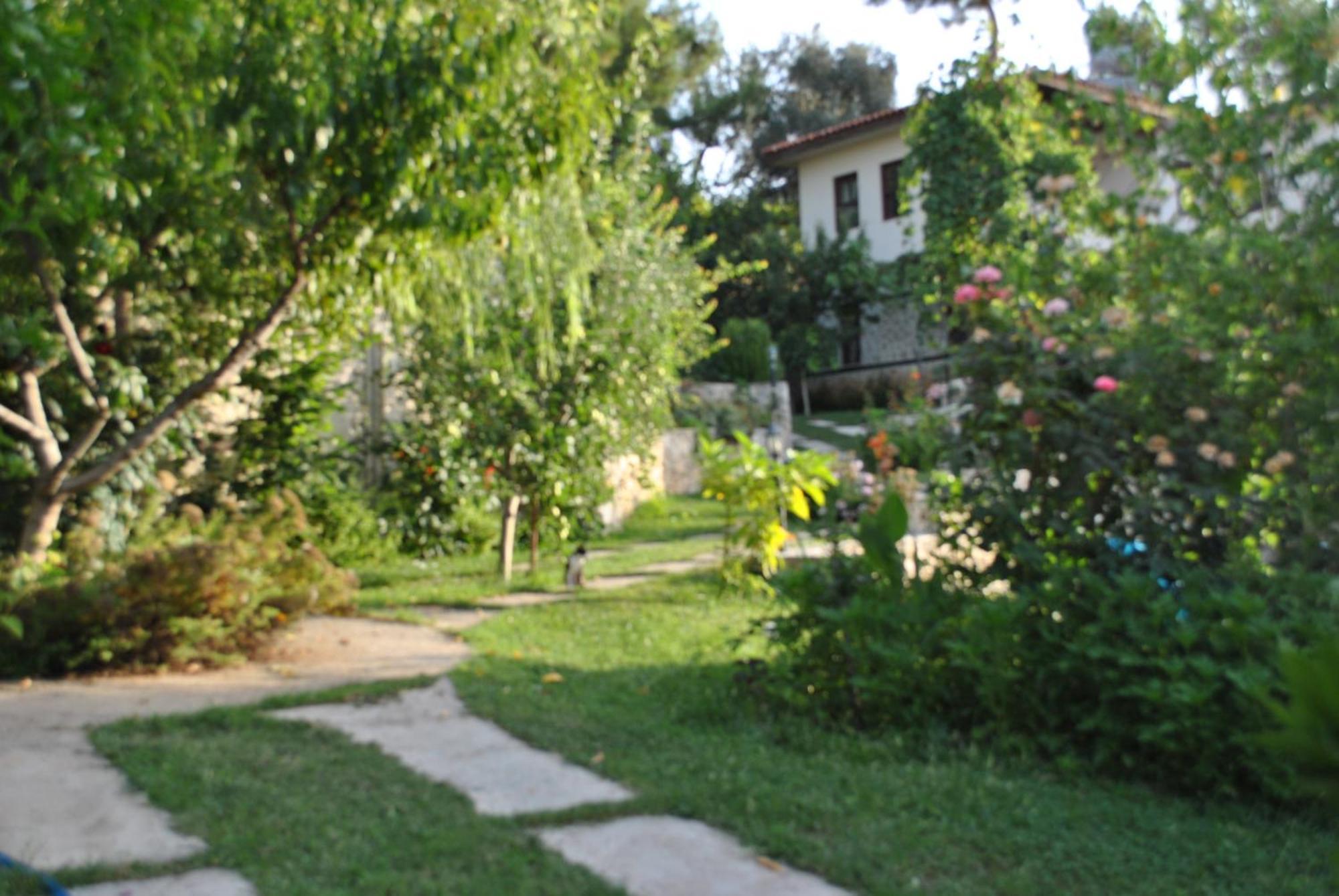 Kleo Cottages Kalkan Zewnętrze zdjęcie
